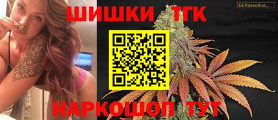 индика Пенза