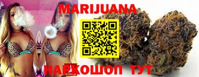 индика Пенза