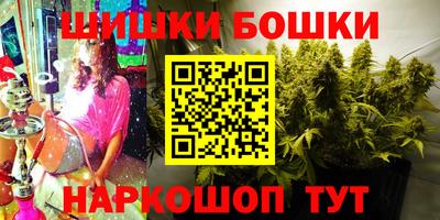 индика Пенза