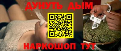 индика Пенза
