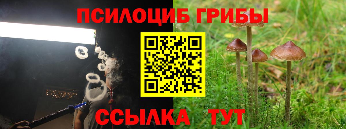 магазин    Галлюциногенные грибы прущие грибы  Псилоцибиновые грибы прущие грибы  Вход с VPN  Сухой Лог 